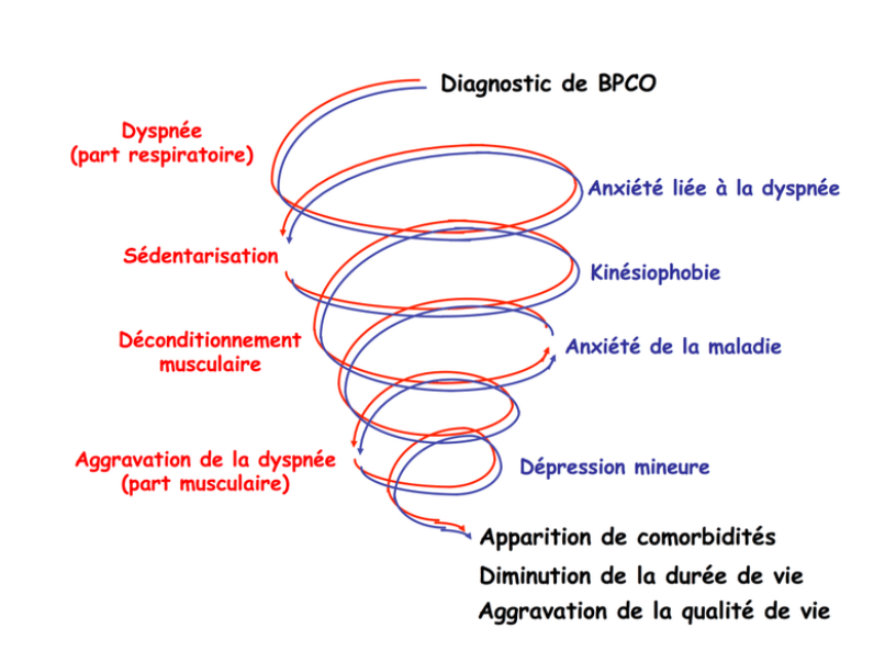 spirale négative déconditionnement BPCO